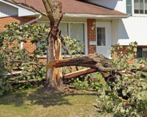 Storm Safety – Post Storm Checklist