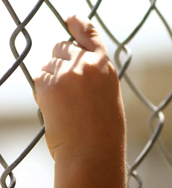 hand holding a fence