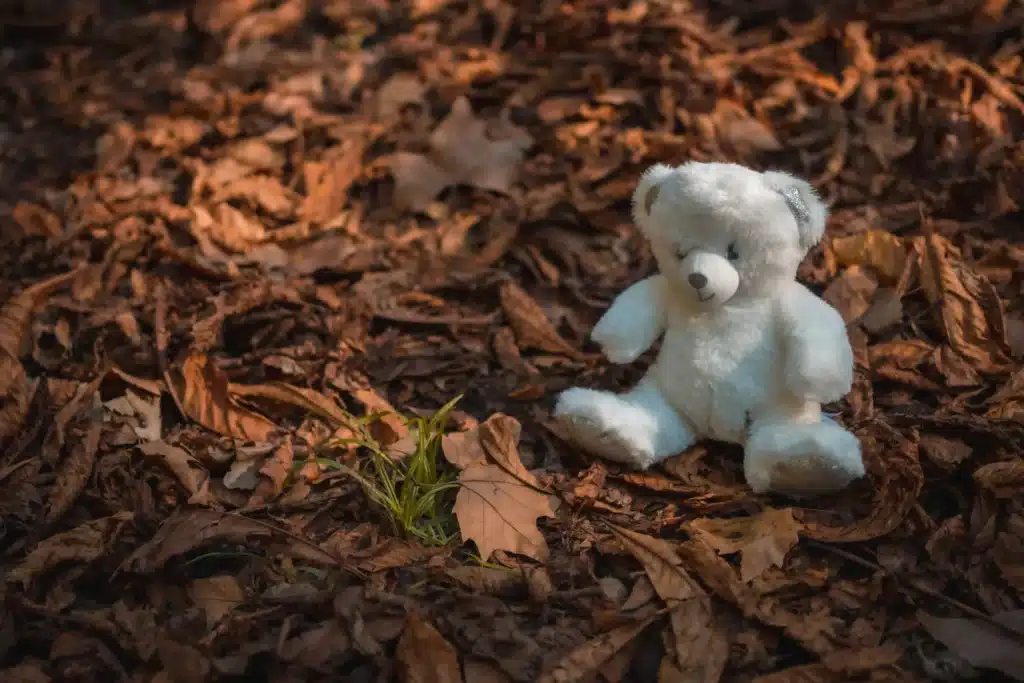 Teddy bear abandoned in a bed of autumn leaves
